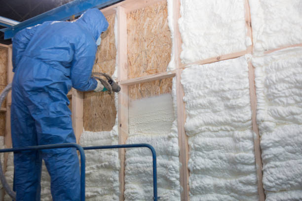 Best Weatherproofing Services in San Buenaventura, CA